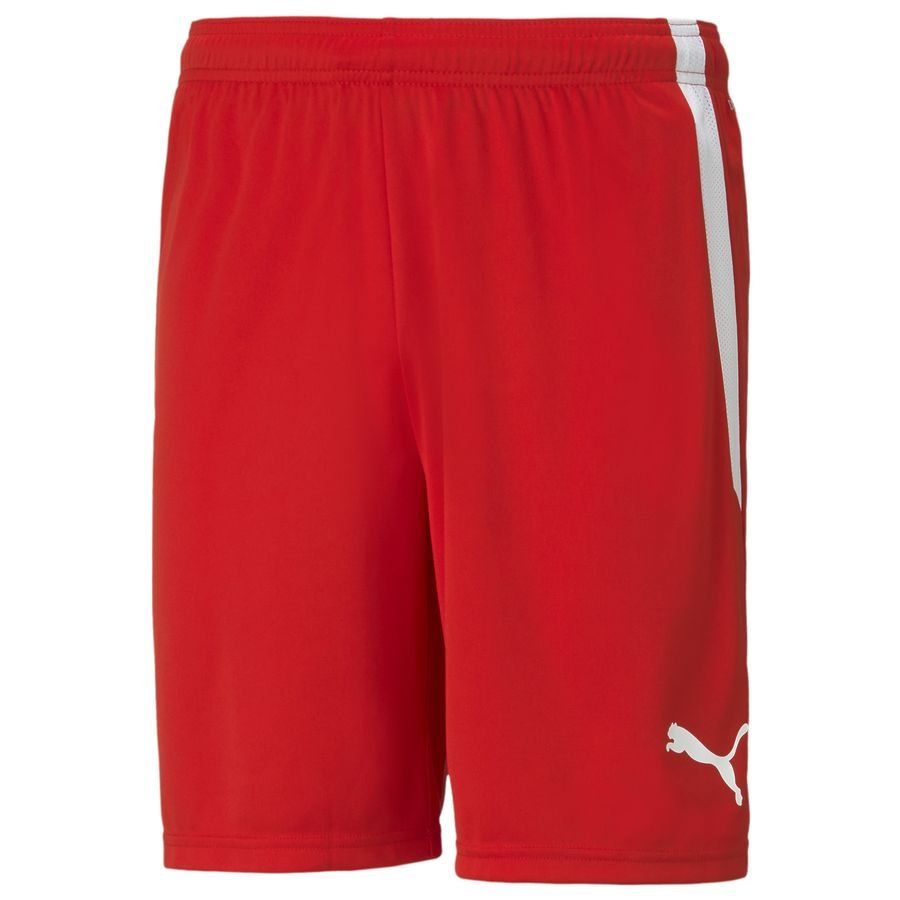 Trikotsatz Saison 2024/25 rot Hose